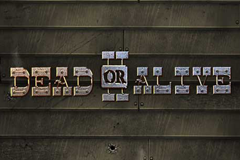 Обзор слота Dead or Alive II